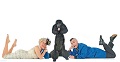 The Indra, Adam the Standard Poodle and Fudgie