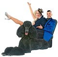 Adam the Standard Poodle, The Indra and Fudgie